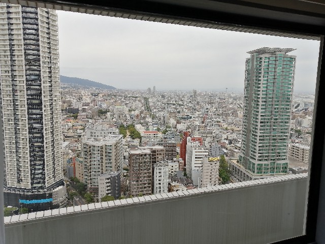 f:id:wbfdoron:20221018051923j:image f:id:wbfdoron:20221018051923j:image