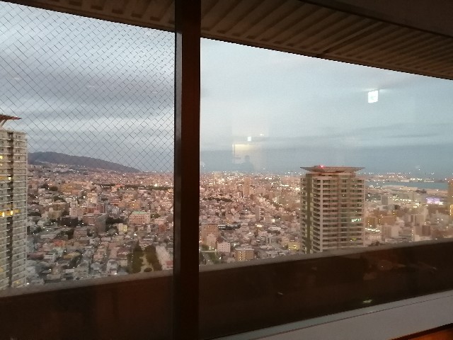 f:id:wbfdoron:20221018052325j:image f:id:wbfdoron:20221018052325j:image