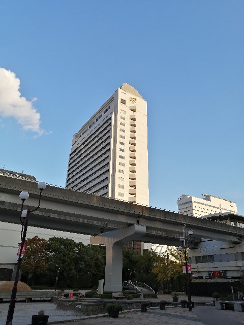 f:id:wbfdoron:20221116211749j:image f:id:wbfdoron:20221116211749j:image