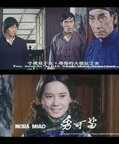 スカイホーク鷹拳 日本語吹替え 香港映画 ノラミャオ サモ・ハン・キンポー なつかし香港映画：『スカイホーク鷹拳』（1974）「オッチャンに