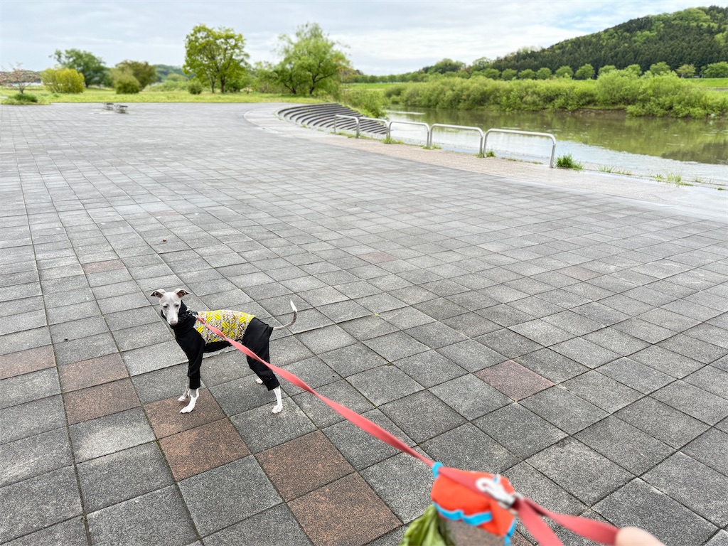 f:id:wdawn:20250507211032j:image