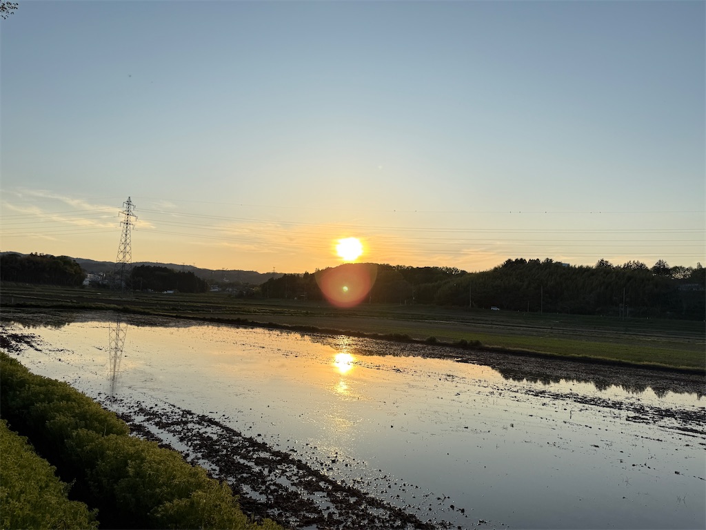 f:id:wdawn:20250508190557j:image