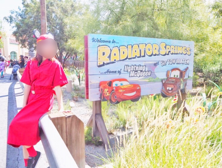 f:id:wdwmkmn:20190112000325j:plain