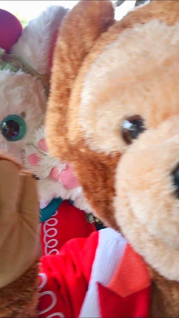 f:id:wdwmkmn:20190114210905j:plain