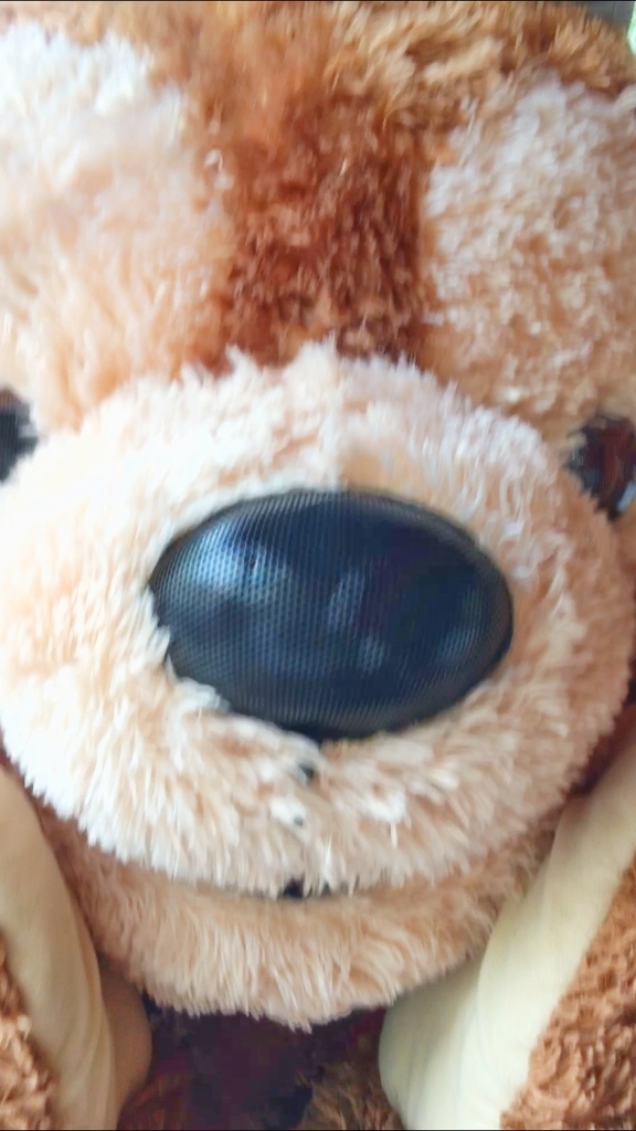 f:id:wdwmkmn:20190114210912j:plain