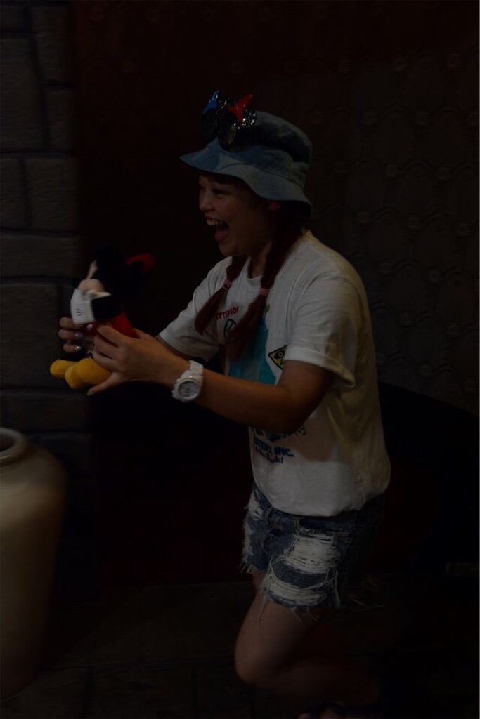 f:id:wdwriechan03:20170124234430j:image