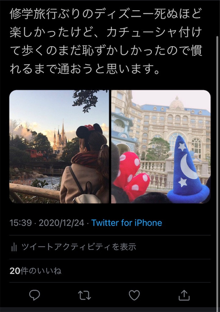 f:id:we_are_not_normal:20201224190813j:image