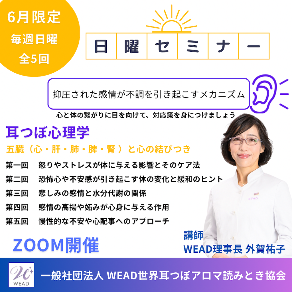 f:id:weadgeka:20250513231035p:image