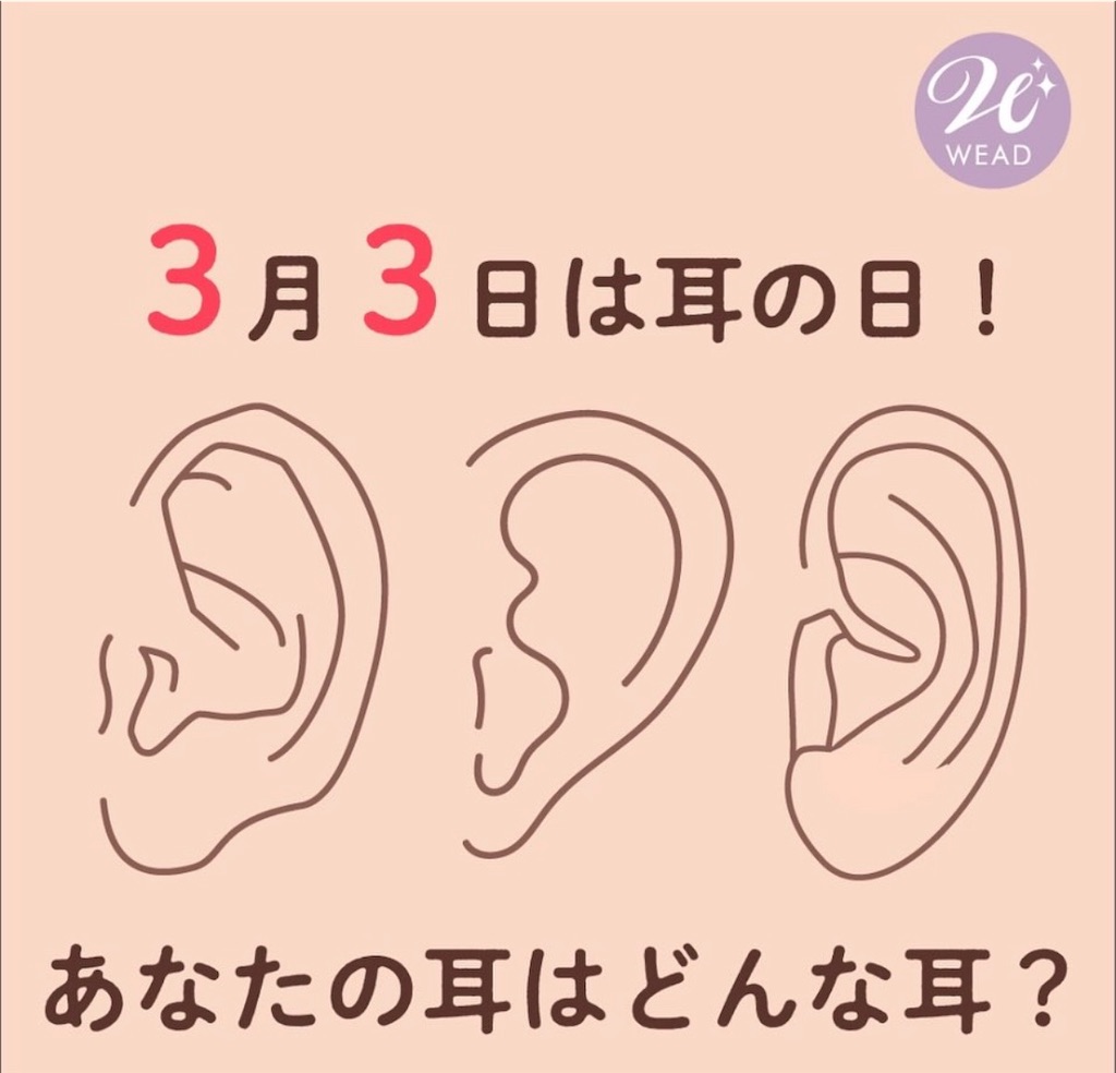f:id:weadgeka:20251231234939j:image