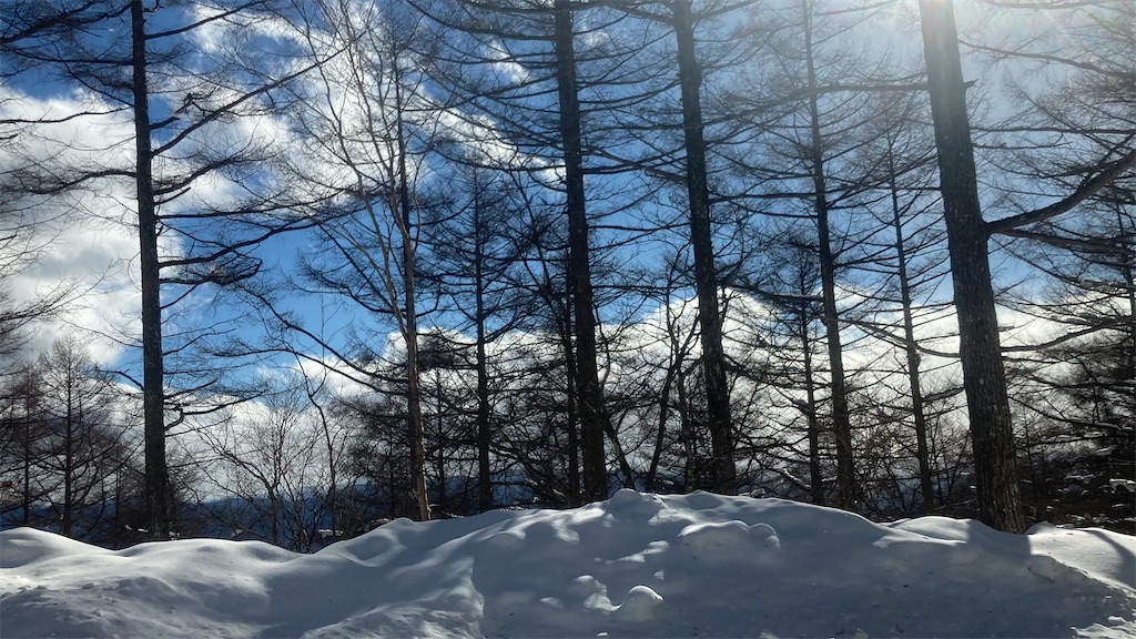 f:id:wearegomi:20230107230545j:image f:id:wearegomi:20230107230545j:image