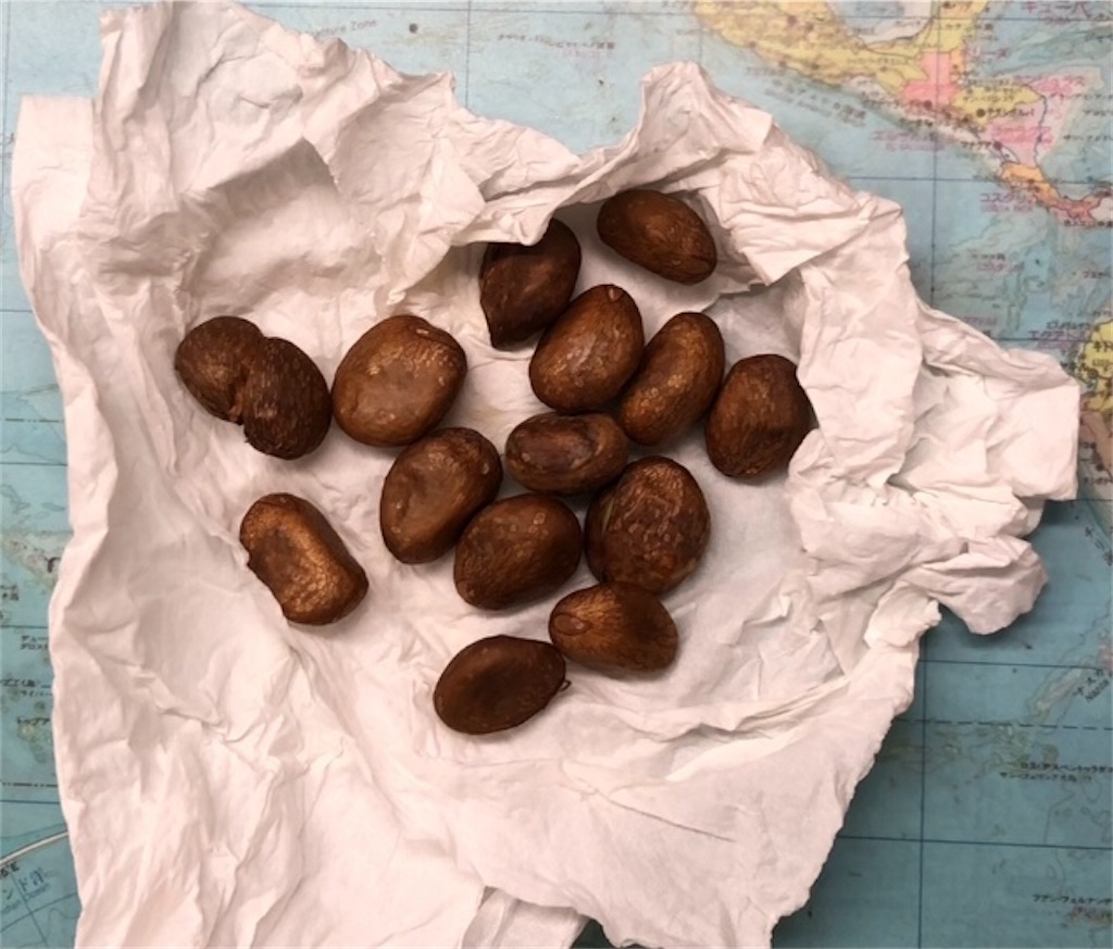 f:id:weaselslap:20210729094852j:image