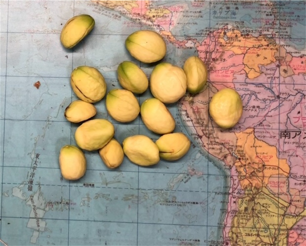 f:id:weaselslap:20210729214842j:image