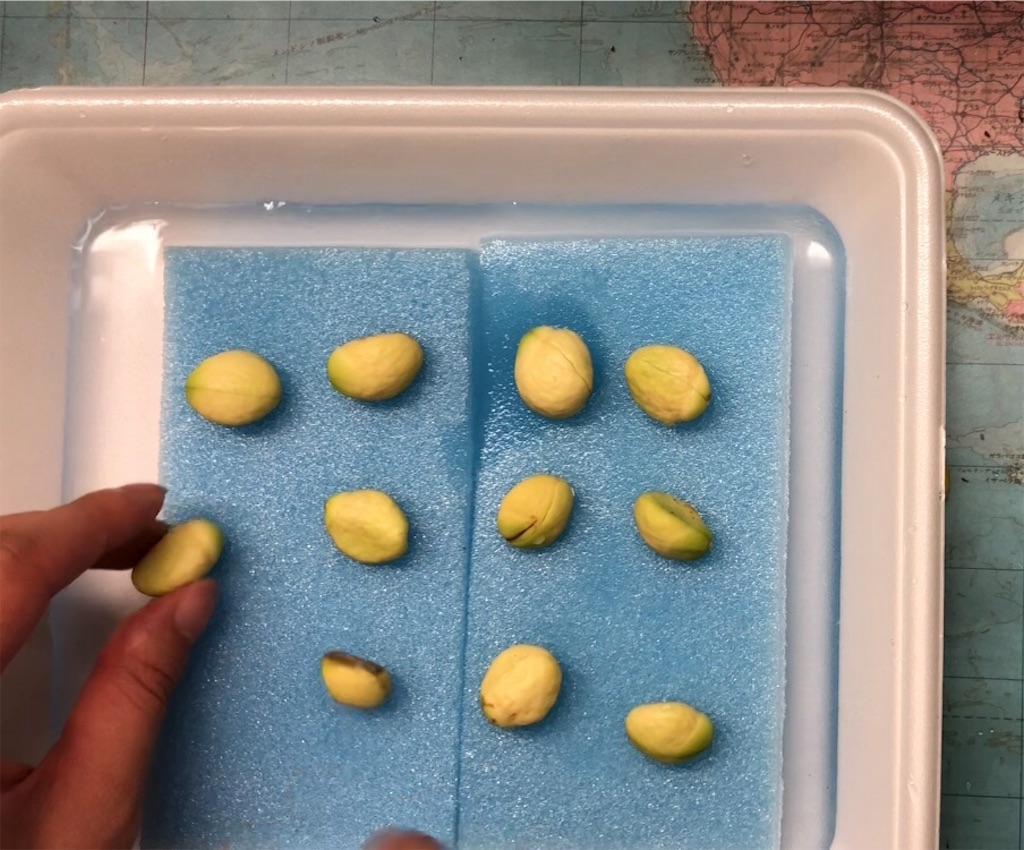 f:id:weaselslap:20210731102549j:image