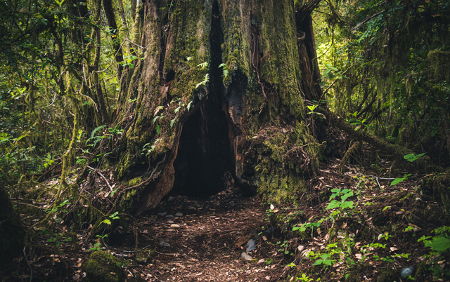 f:id:web-0220:20210922113244j:plain