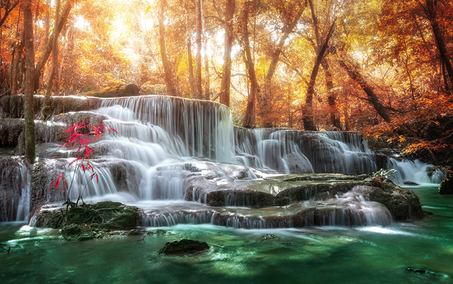 f:id:web-0220:20210922113515j:plain