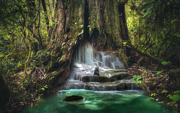 f:id:web-0220:20210922114148j:plain