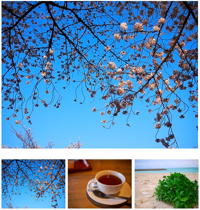 f:id:web-0818:20150817000421j:image