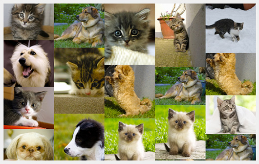 f:id:web-css-design:20131219104925j:image