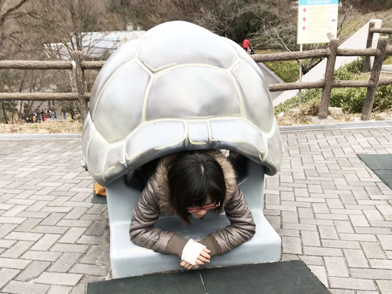 f:id:web-minako:20180108144655j:plain f:id:web-minako:20180108144655j:plain