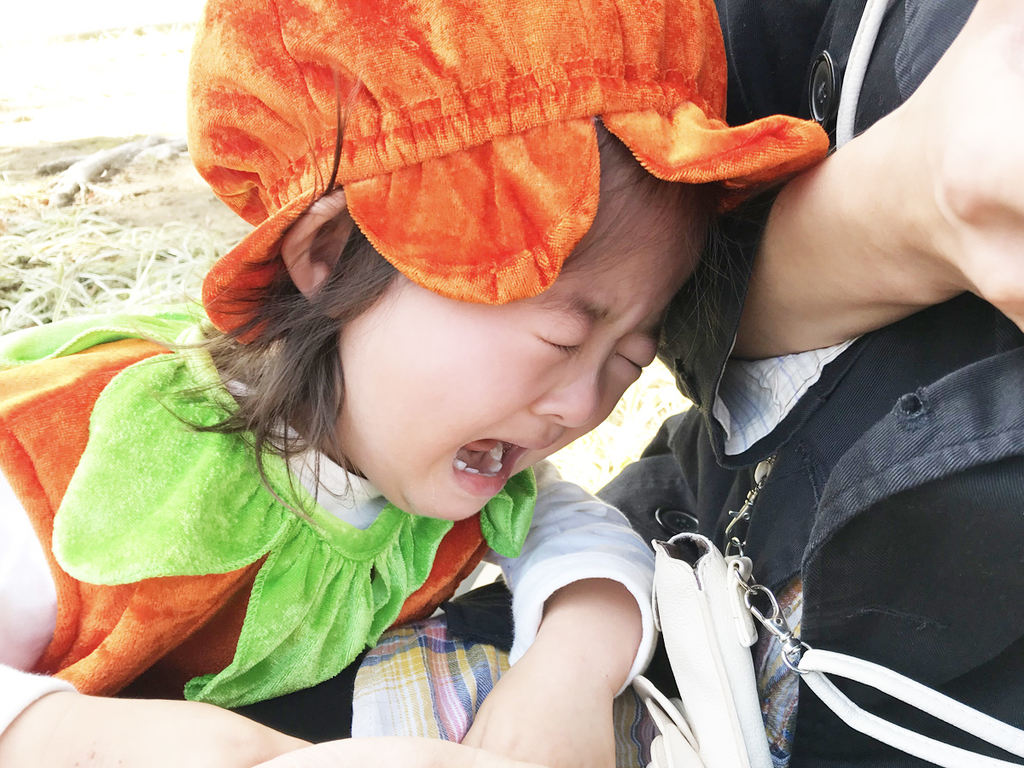 f:id:web-minako:20181023011046j:plain