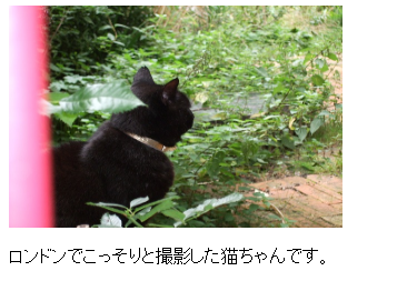 f:id:web0ninja:20160714234122p:plain f:id:web0ninja:20160714234122p:plain