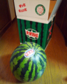 20100723200032