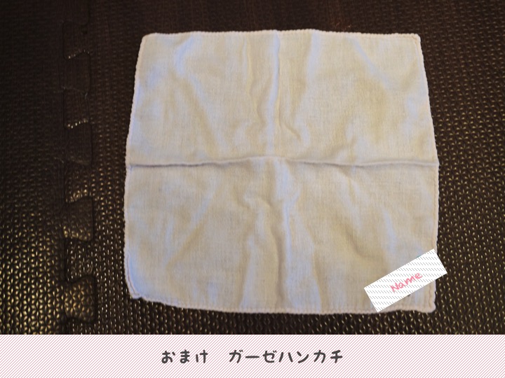 f:id:webdirector_mama:20170226145720j:plain