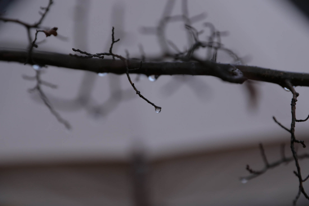 f:id:weblife:20171231161136j:plain