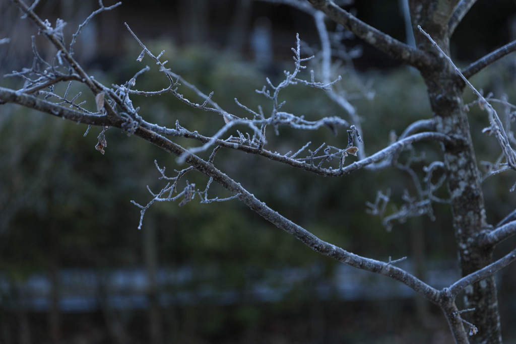 f:id:weblife:20180101074306j:plain