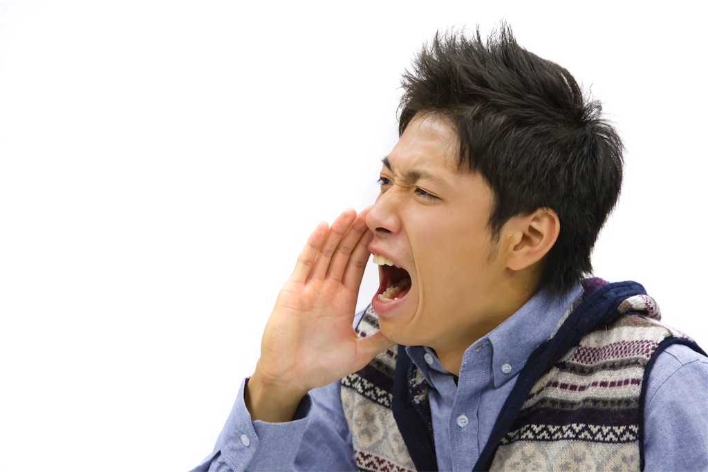 f:id:websearch666:20160716125057j:image