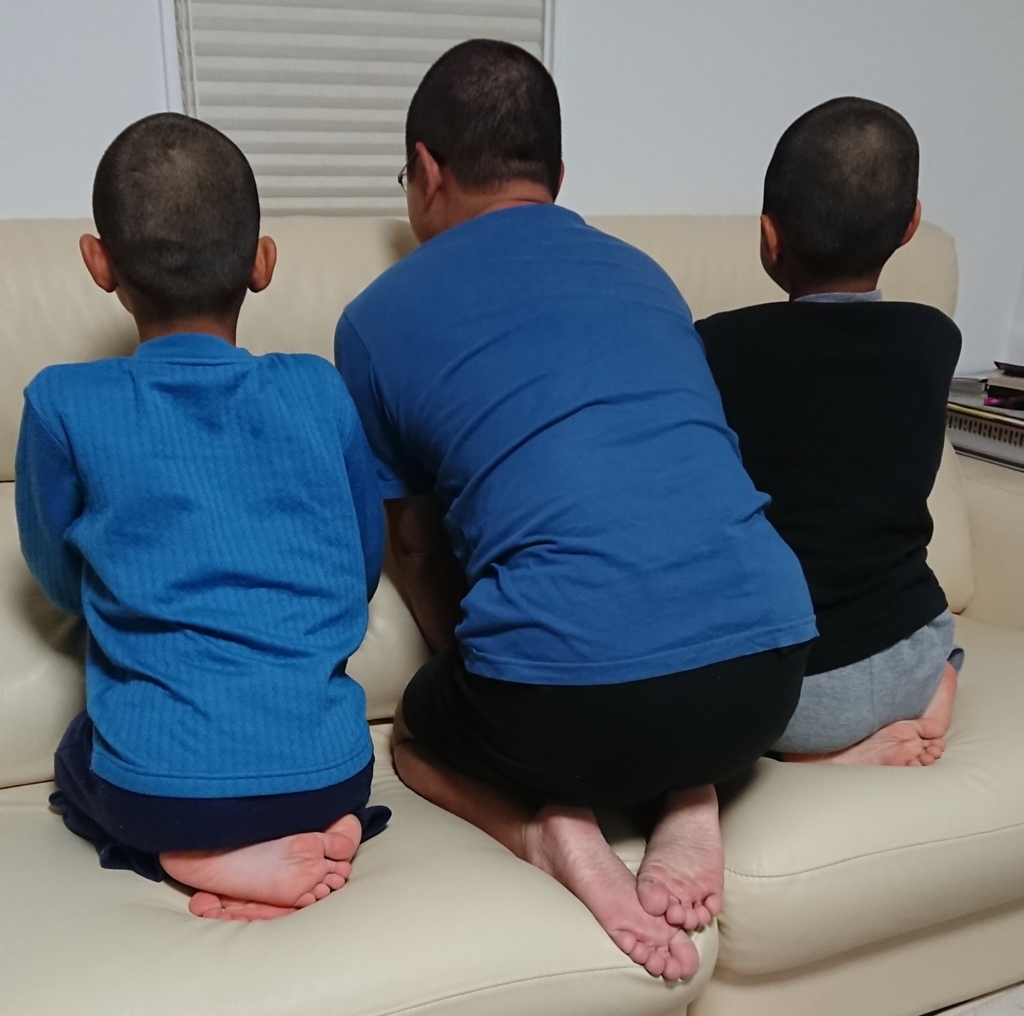 f:id:wed7931:20180513095758j:plain f:id:wed7931:20180513095758j:plain