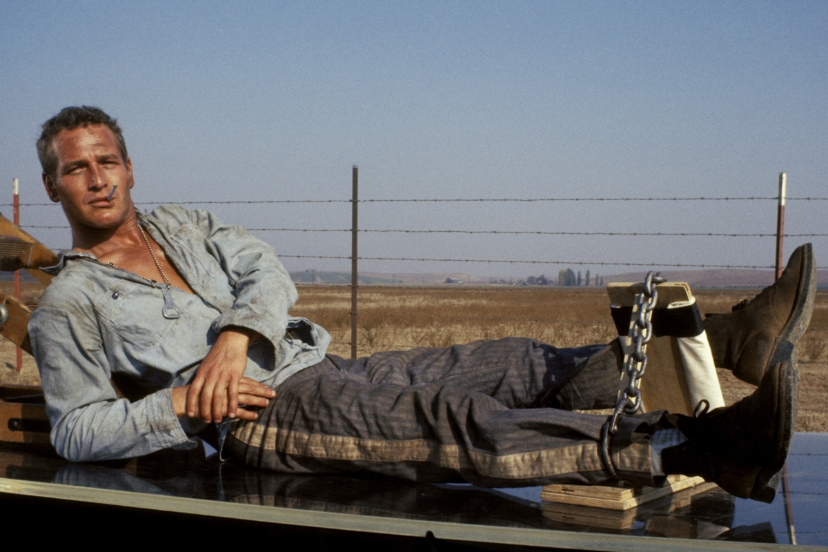 暴力脱獄(Cool Hand Luke)」不屈のポール・ニューマン、加えて