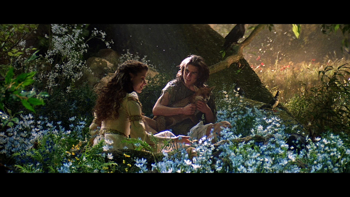 f:id:wedplain:20220216145756j:plain