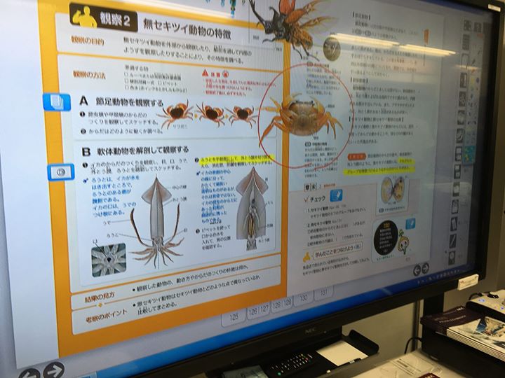 f:id:weed_7777:20160624120037j:plain