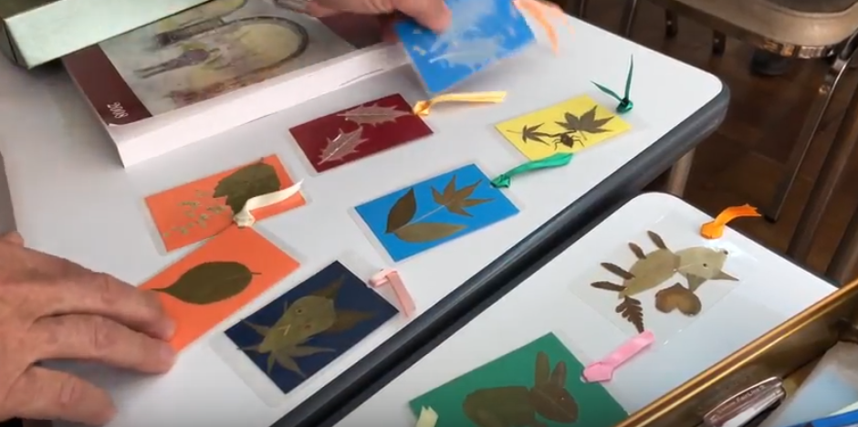 f:id:weed_7777:20180120181108p:plain