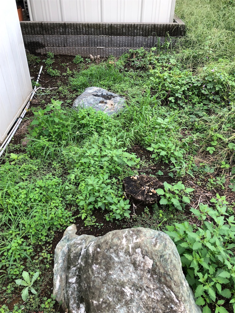 f:id:weekend2019:20240922210850j:image f:id:weekend2019:20240922210850j:image