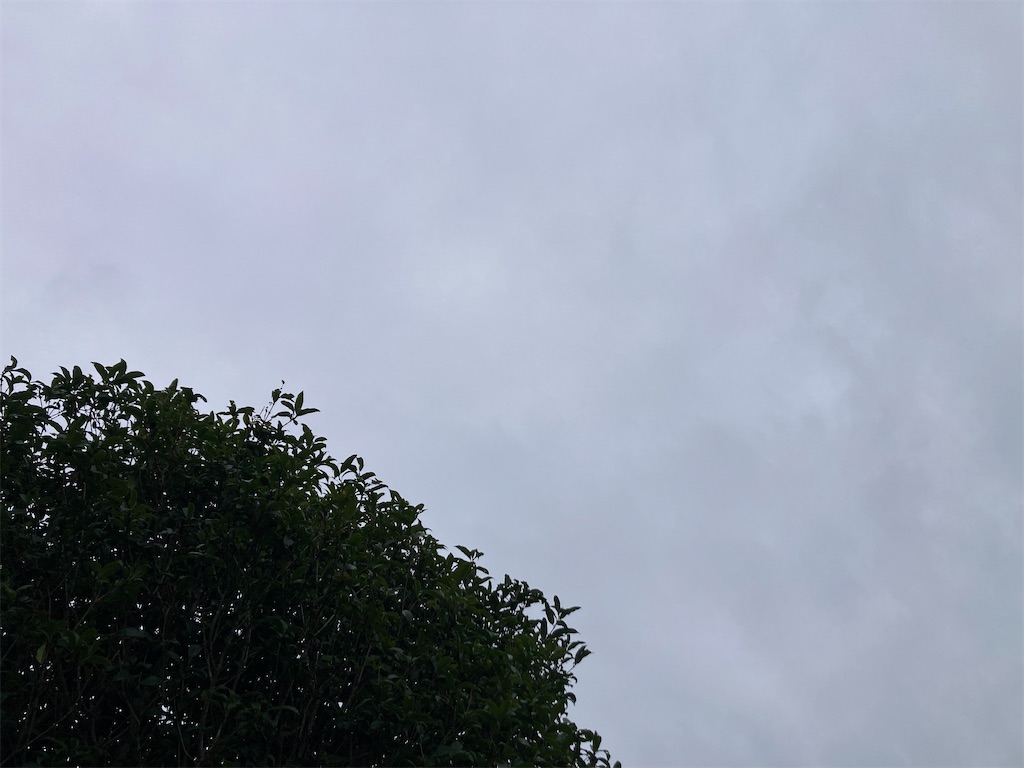 f:id:weekend2019:20241023131407j:image f:id:weekend2019:20241023131407j:image