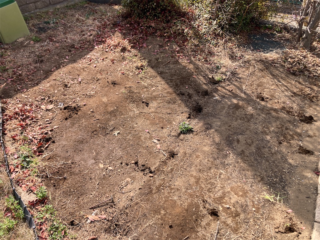 f:id:weekend2019:20250302210048j:image f:id:weekend2019:20250302210048j:image