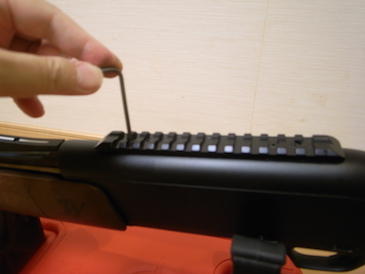 画像を等倍で表示します 画像