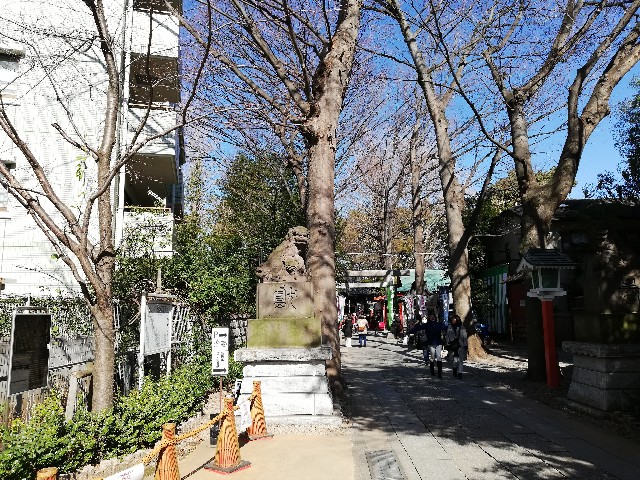 f:id:weekendjogger:20200211035807j:image