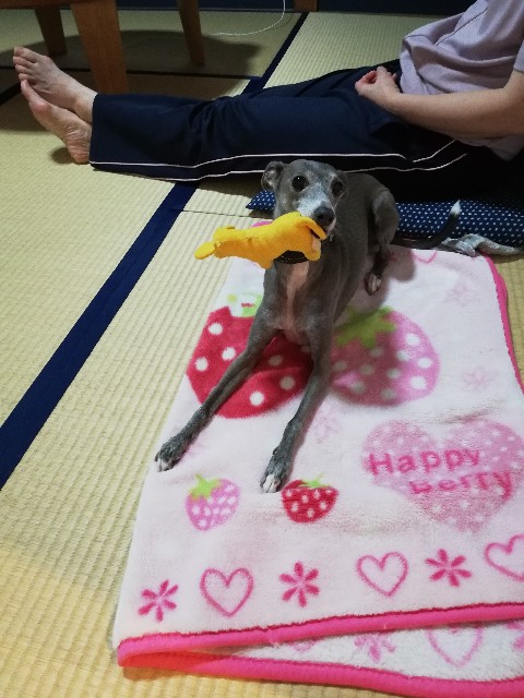 f:id:weekendjogger:20200815174446j:image