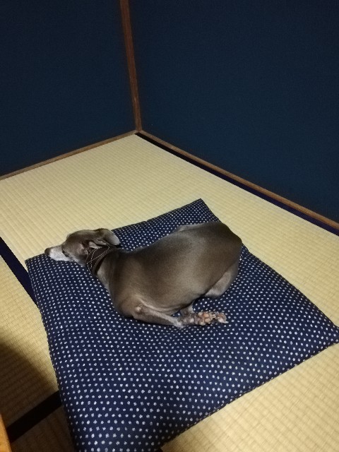 f:id:weekendjogger:20200815174539j:image