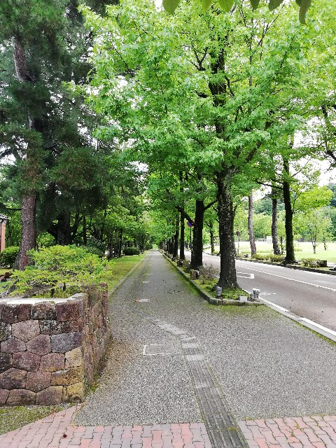 f:id:weekendjogger:20200816095143j:image