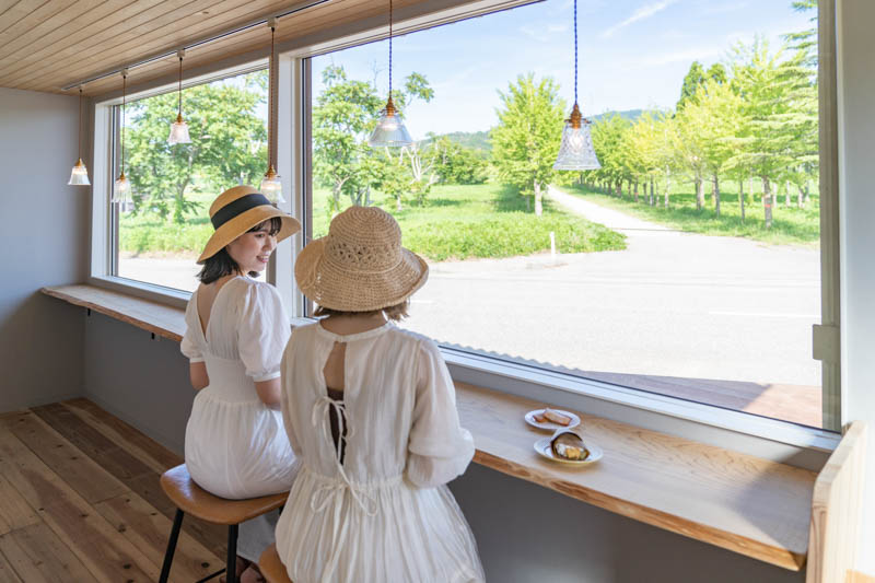 宝達志水町】イチョウ並木を目の前に楽しむ限定クレープ！金沢の