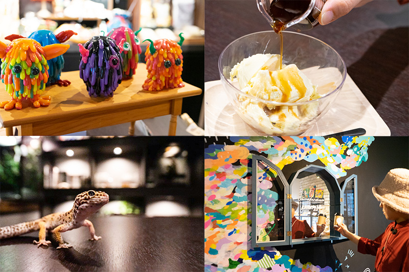 ウチナダノハコ<片町>／爬虫類バー Lirio（リリオ）