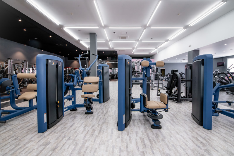 PR】月額2,980円で家族4人まで通える！フィットネスジム「FIT365