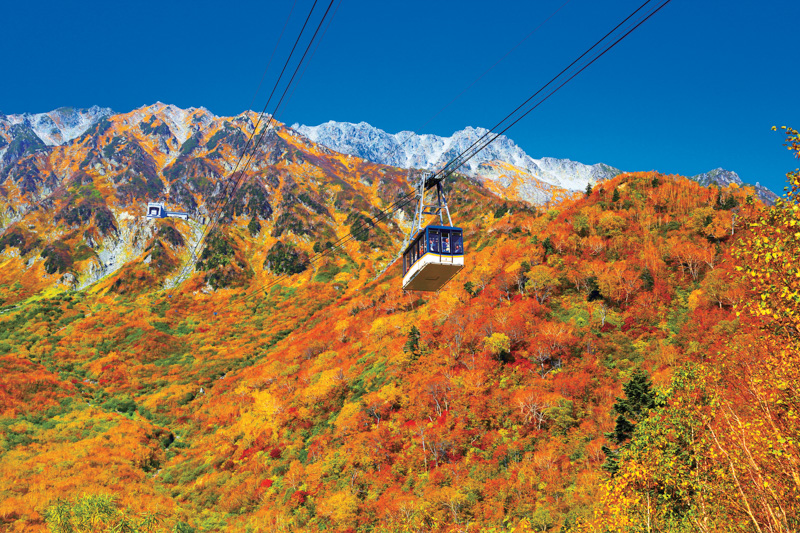 2024年版】富山県・福井県のおすすめ紅葉スポット&イベント情報