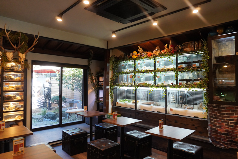 Animal Café 百奇夜行