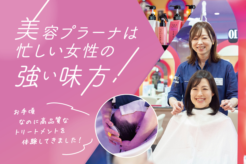 美容プラーナ
