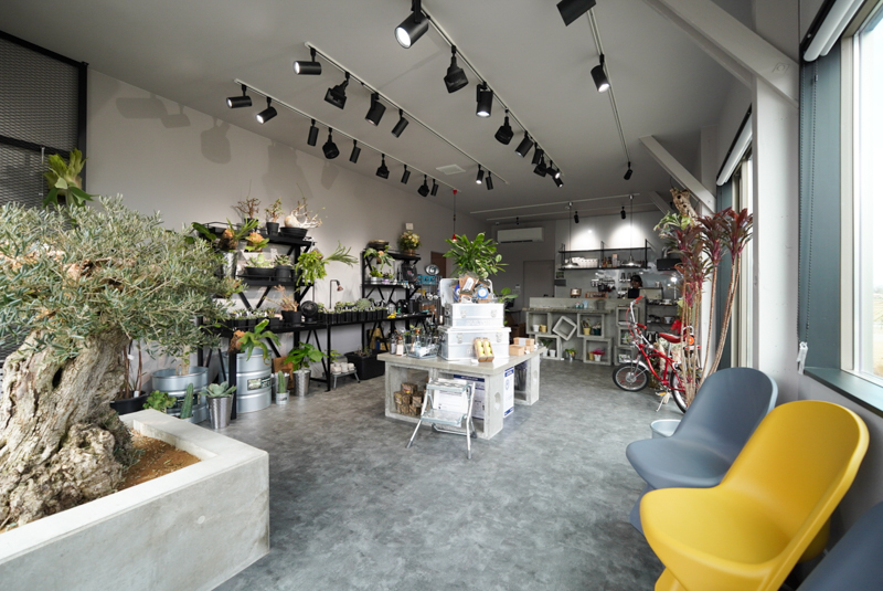 ナナサン plants+coffee